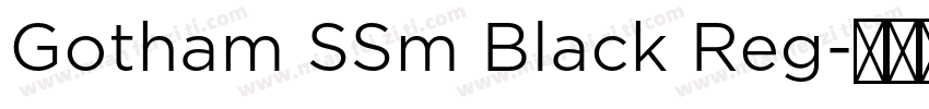 Gotham SSm Black Reg字体转换